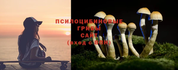 скорость Елизово
