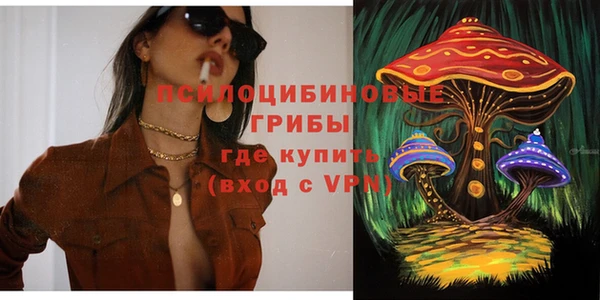 ALPHA PVP Дмитриев