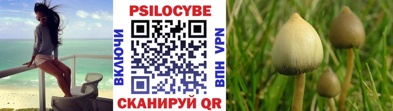магазин    Плавск  blacksprut tor  Галлюциногенные грибы ЛСД 